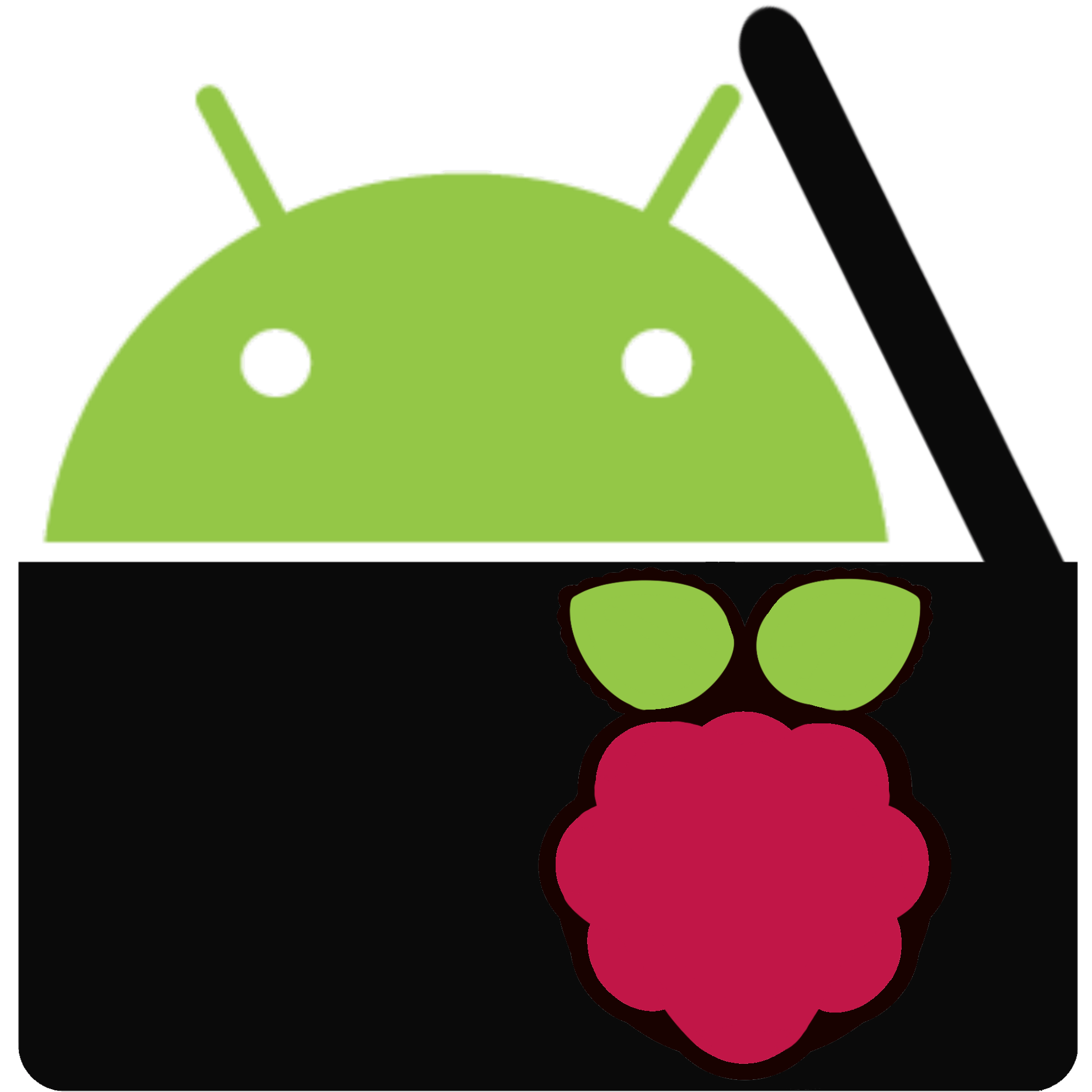 Raspio Logo